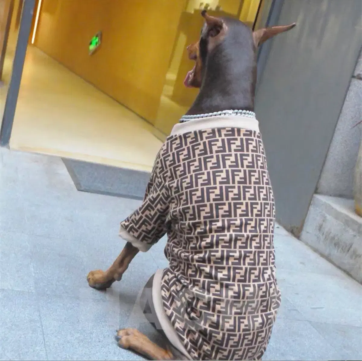 thumbnail-2
